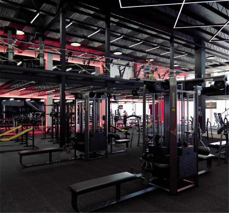 From Treadmill to Deadlift